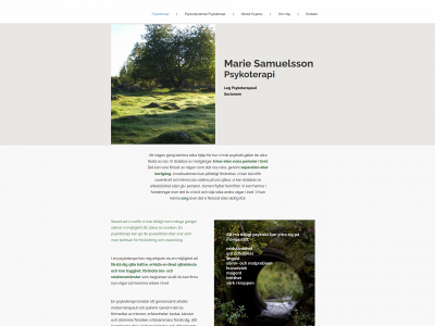 samuelssonpsykoterapi.se snapshot