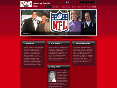 synergysportsinc.com snapshot