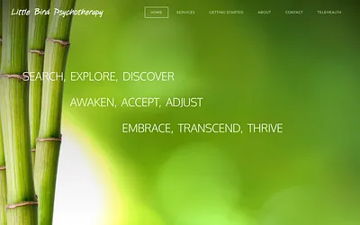 littlebirdpsychotherapy.com snapshot