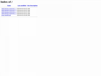 emfvisualsystems.com snapshot