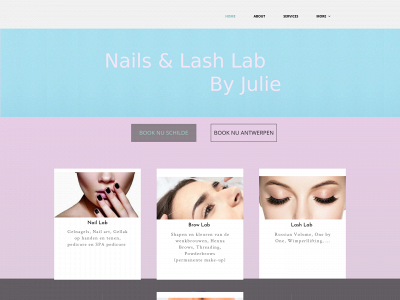 nailsenlashlab.be snapshot