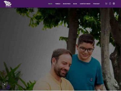 bitemixcompany.com snapshot