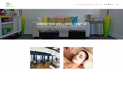 operationwellnesscenter.com snapshot
