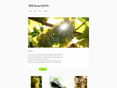 riessearching.com snapshot