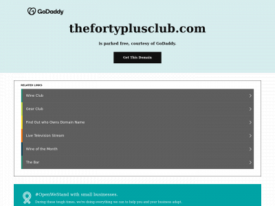 thefortyplusclub.com snapshot
