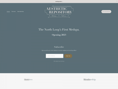 aestheticrepository.com snapshot