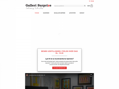 surprize.dk snapshot