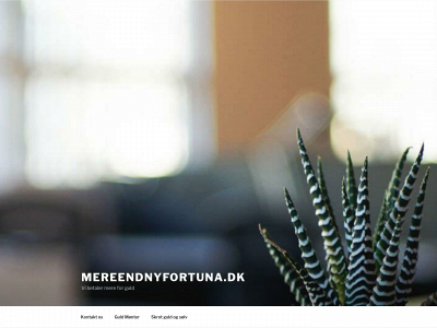 mereendnyfortuna.dk snapshot
