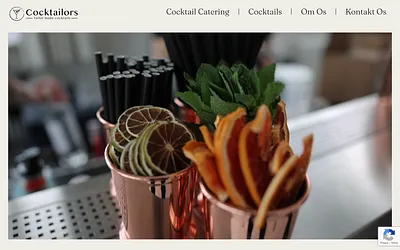 cocktailors.dk snapshot