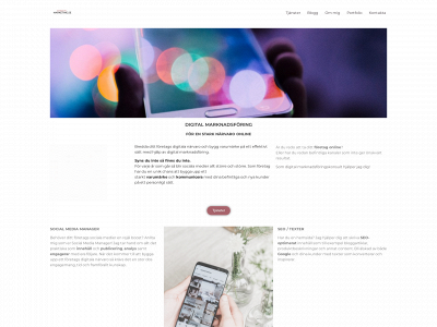 gosocialmarketing.se snapshot