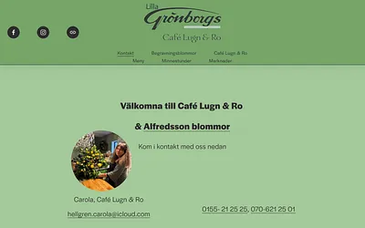 gronborgs.com snapshot