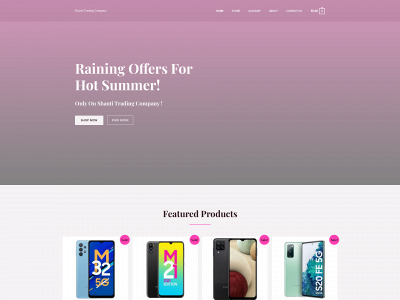 shantitradingcompany.in snapshot