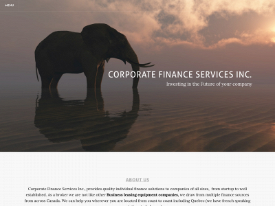 www.corporate-finance.solutions snapshot