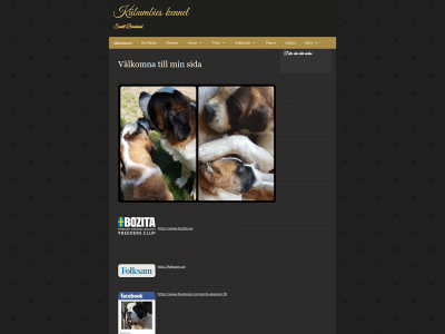 kiibumbies.se snapshot