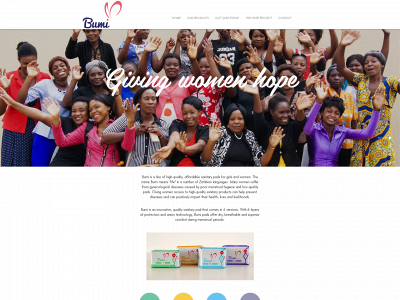 bumizambia.com snapshot