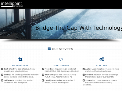 intellipointcorp.net snapshot