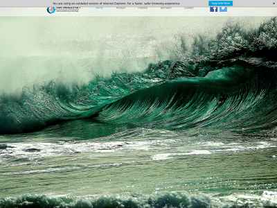 surfmouldpro.co.uk snapshot