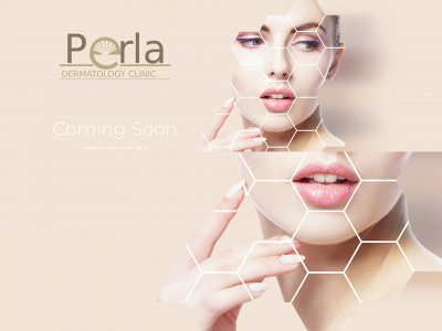 perla-dc.com snapshot