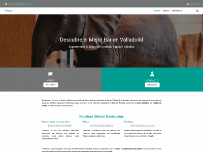 mestizovalladolid.net snapshot