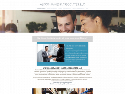 www.alisonjassoc.com snapshot