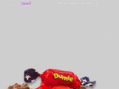 danorel.com snapshot