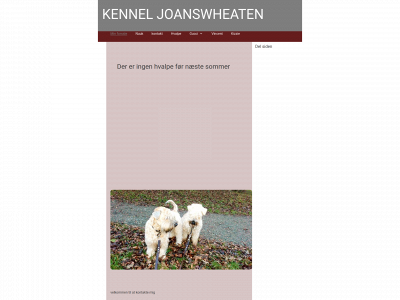 joanswheaten.dk snapshot