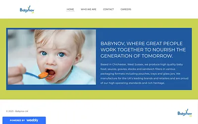 www.babynov.uk snapshot