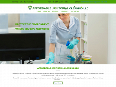affordablejanitorial.net snapshot