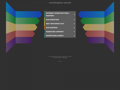 marketingbliss.website snapshot