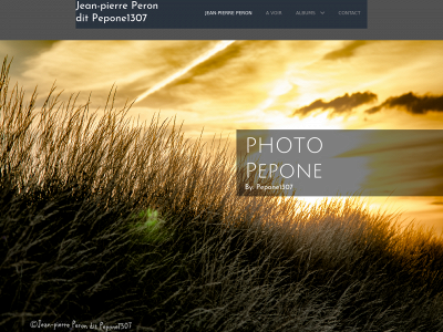 pepone.be snapshot