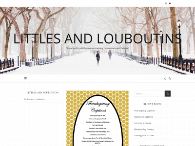 littlesandlouboutins.com snapshot