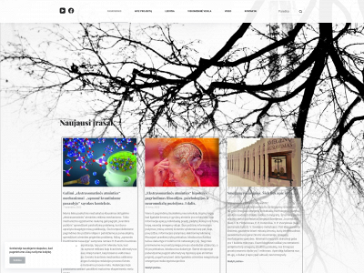 neurofilosofija.lt snapshot