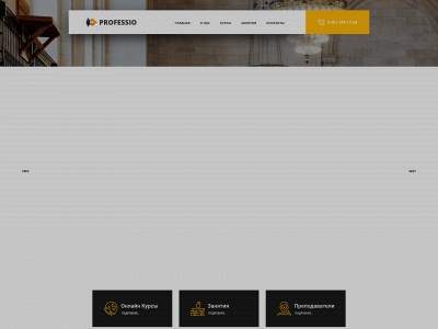 professio.academy snapshot