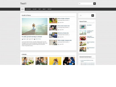 dagarna.online snapshot