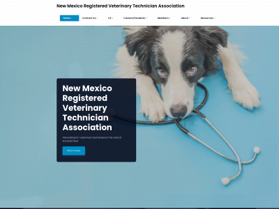 nm-rvta.org snapshot