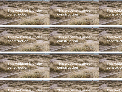 naturligbygg.no snapshot