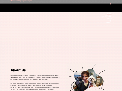 digitdoggrooming.com snapshot
