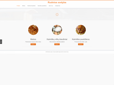 rudnia.lt snapshot