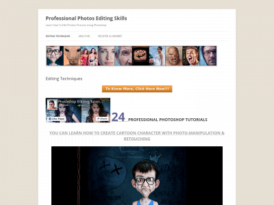 professionalpictureediting.com snapshot