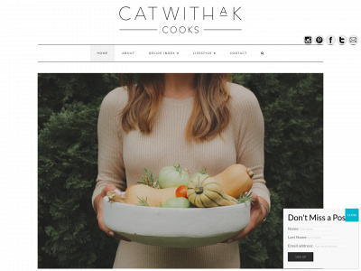 catwithak.com snapshot