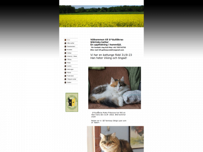 gullakras.se snapshot