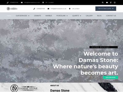 damasstone.co.uk snapshot