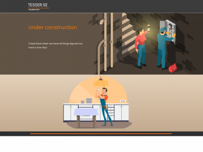 tesser.se snapshot