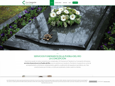 www.serviciosfunerarioslaconcepcion.com snapshot
