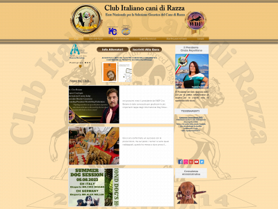 icbd.it snapshot