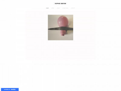 www.sophiemeyer.co.uk snapshot