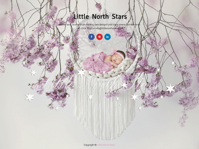 littlenorthstars.com snapshot