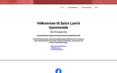 salonlumi.dk snapshot