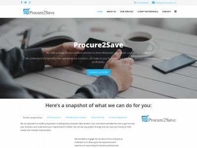 procure2save.co.uk snapshot