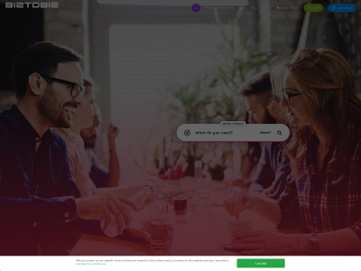 biztobiz.nu snapshot